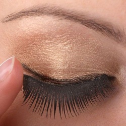 сплошные (ленточные) и пучковые сплошные (ленточные) и пучковые