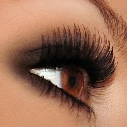 сплошные (ленточные) и пучковые сплошные (ленточные) и пучковые