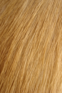 самый яркий мех самый яркий мех