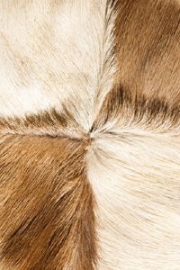 самый яркий мех самый яркий мех