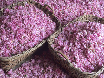 французские духи французские духи