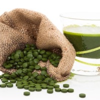 свойства хлореллы