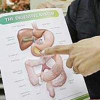 диффузные изменения поджелудочной железы почему возникают диффузные изменения поджелудочной железы почему возникают