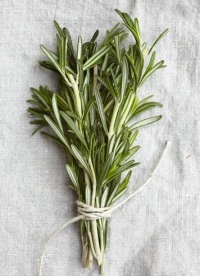 полезные свойства розмарина