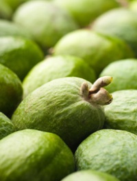 как определить, что плоды фейхоа созрели как определить, что плоды фейхоа созрели