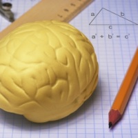 улучшить память подростку улучшить память подростку